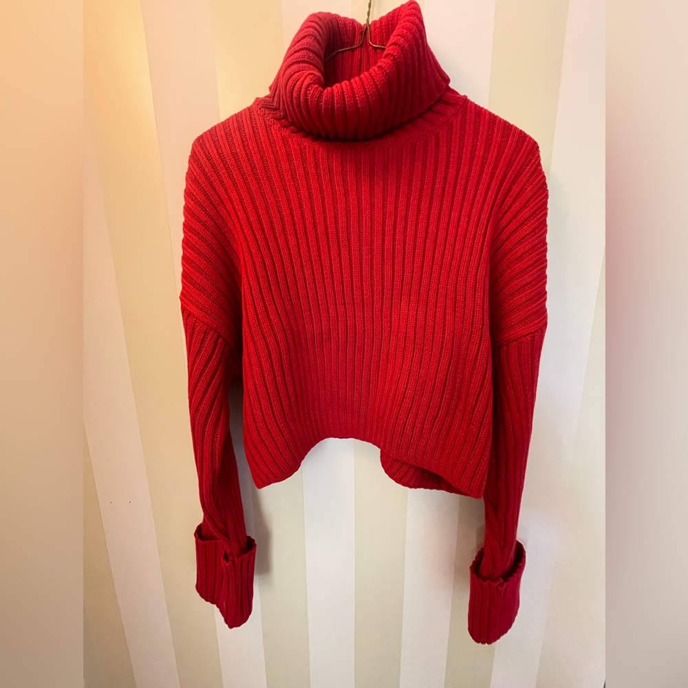 Zara - Crop Knit Turtleneck Sweater